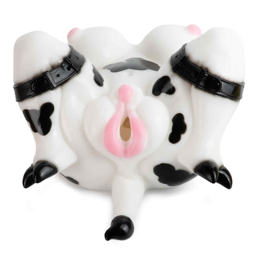 G6636